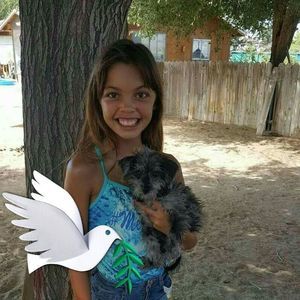 Meet your Posher, Summer